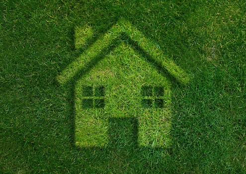 Grass-house-495x351